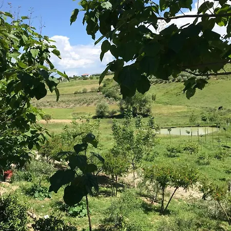 Villa Maison